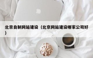 林芝北京自制网站建设（北京网站建设哪家公司好）
