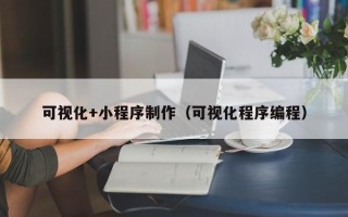 林芝可视化+小程序制作（可视化程序编程）